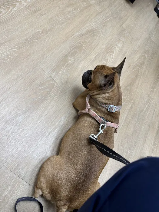 Rio Grande Veterinary Clinic 2