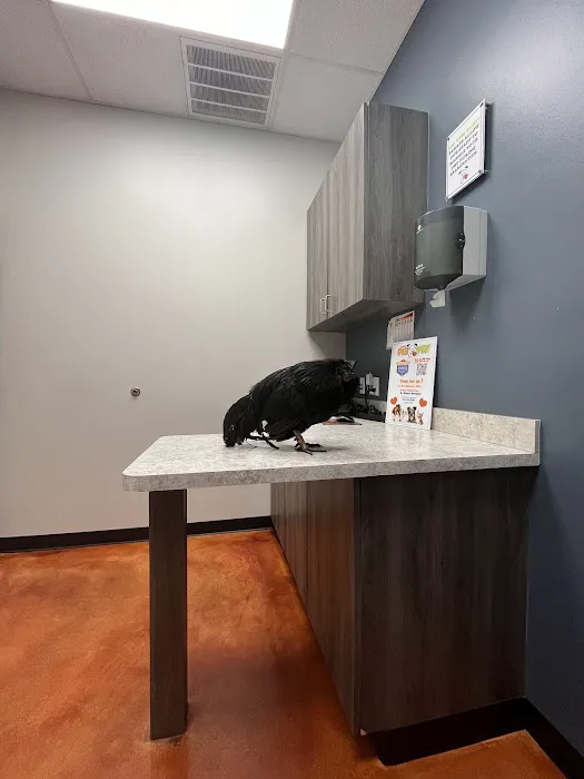 Laredo Pet Vet PC 12