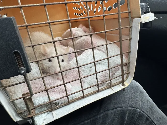 Laredo Pet Vet PC 12