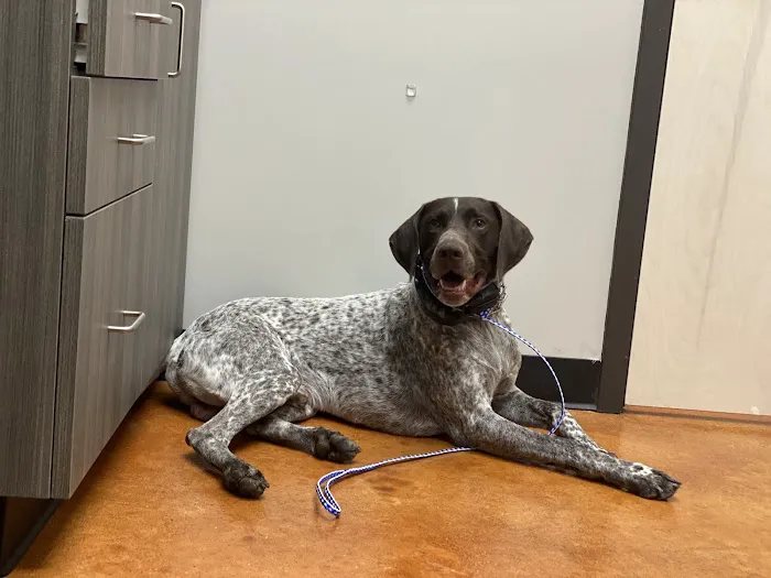 Laredo Pet Vet PC 12
