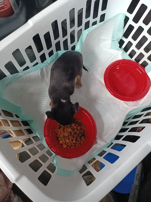 Laredo Pet Vet PC 12