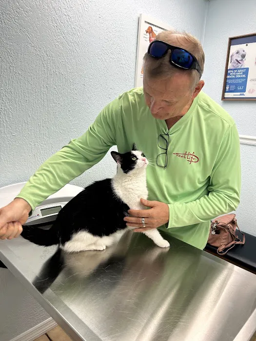 Maybeck Animal Hospital: David R. Fogelberg, DVM 12