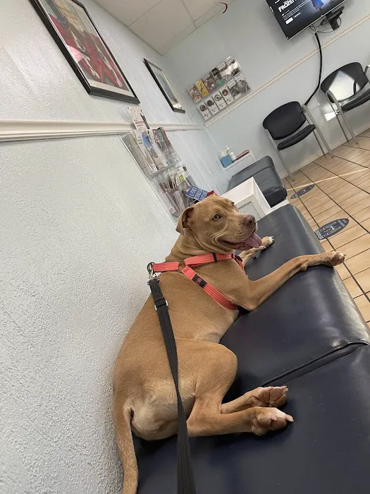 Maybeck Animal Hospital 5