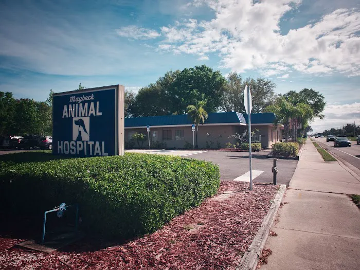 Maybeck Animal Hospital 10