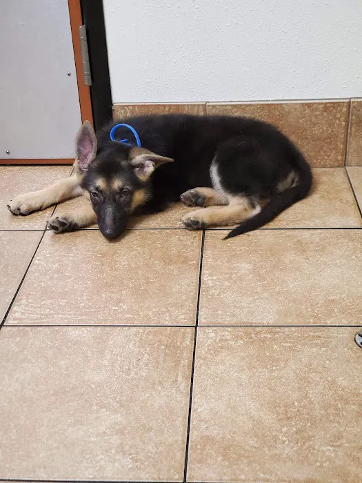 Banfield Pet Hospital 12