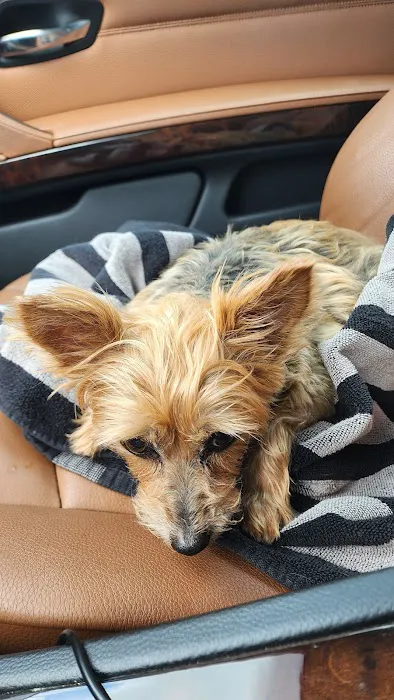 Banfield Pet Hospital 12