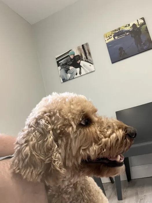 Riverside Animal Hospital 12