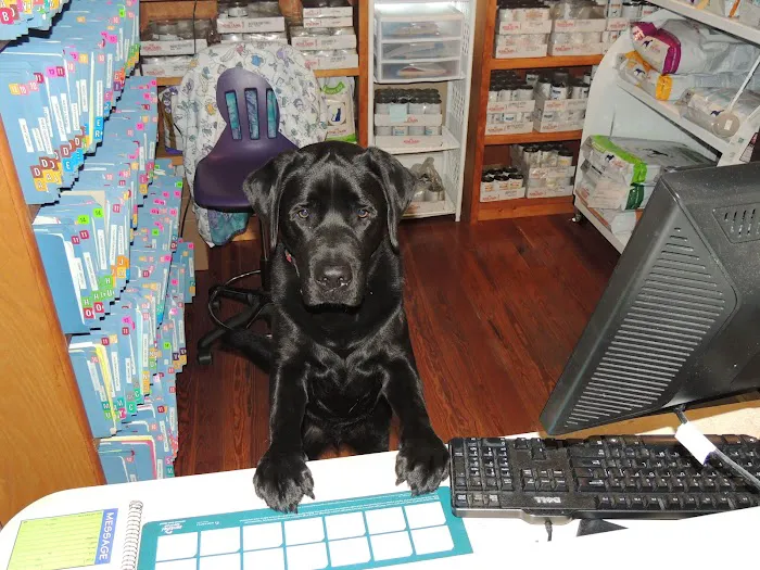 Riverside Animal Hospital 12