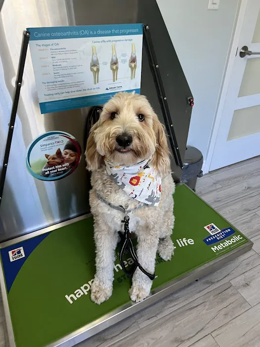 Riverside Animal Hospital 12
