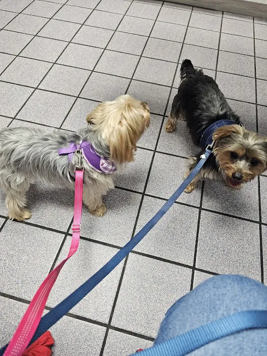 Wickham Animal Hospital & Boarding 3