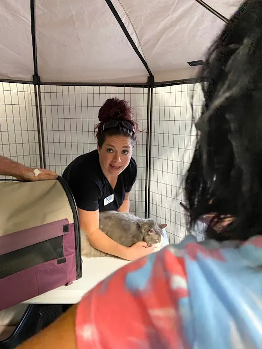 Wickham Animal Hospital & Boarding 6