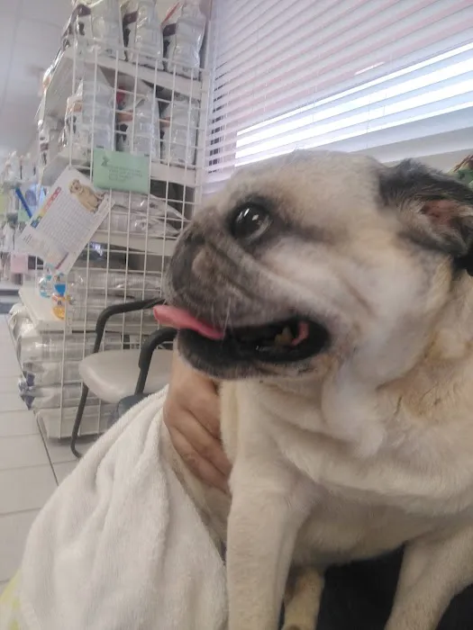 Melbourne Animal Hospital 12