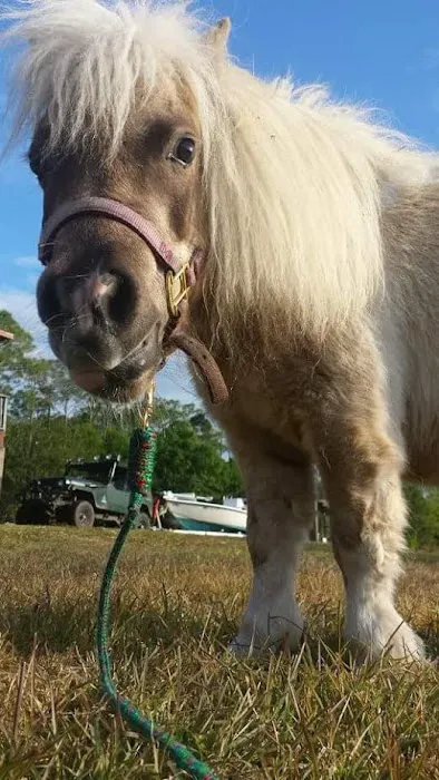 Southwest Florida Veterinary Services 12
