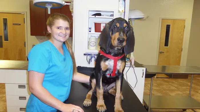 Southwest Florida Veterinary Services 12