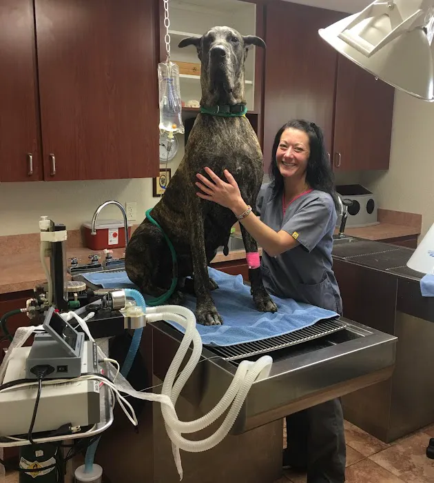 Southwest Florida Veterinary Services 12