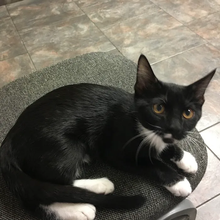 Groves Veterinary Clinic 5