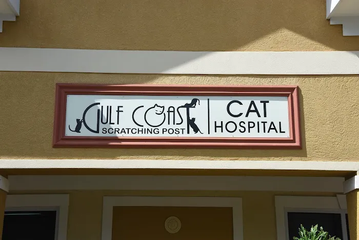 Gulf Coast Scratching Post Cat Hospital 5