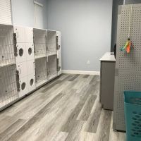 Gulf Coast Scratching Post Cat Hospital ico