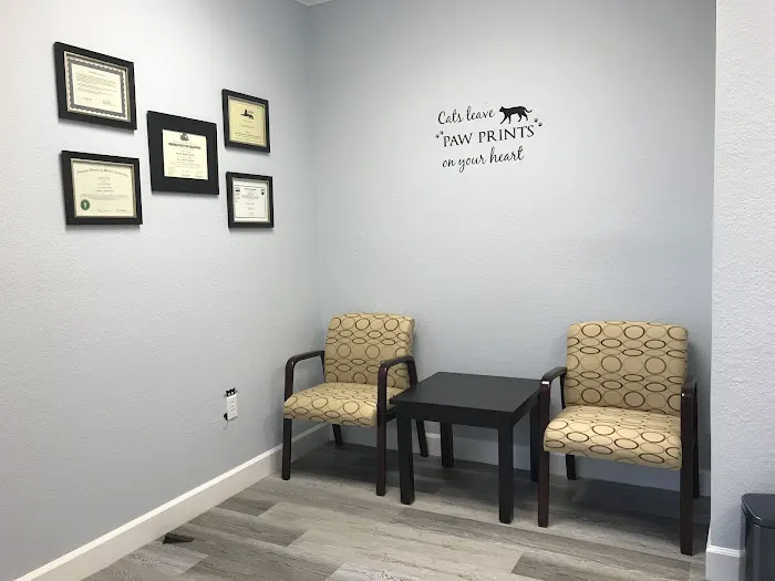 Gulf Coast Scratching Post Cat Hospital 3