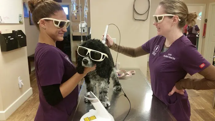 Toledo Blade Animal Clinic 12