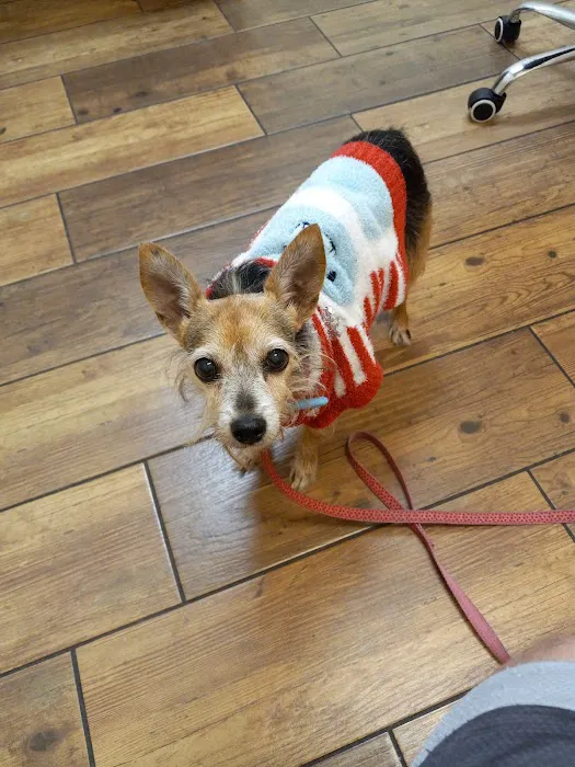 Toledo Blade Animal Clinic 12