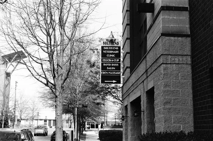South End Veterinary Clinic 2