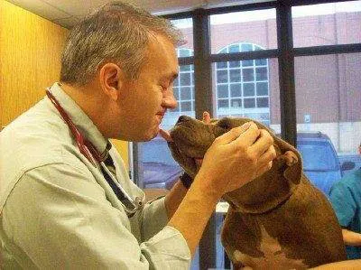 South End Veterinary Clinic 5