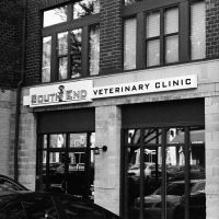 South End Veterinary Clinic ico