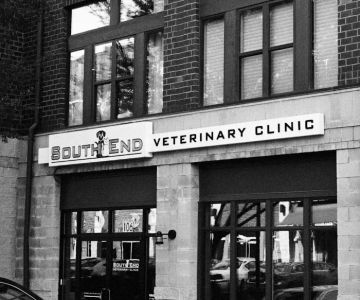 South End Veterinary Clinic