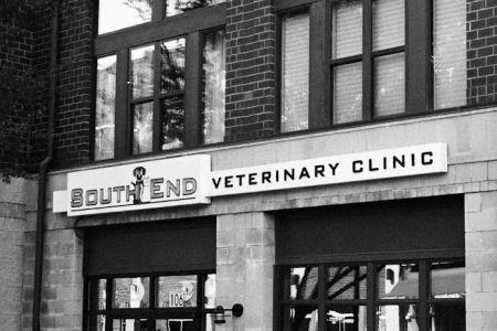 South End Veterinary Clinic