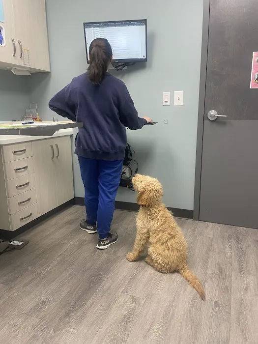 South End Veterinary Clinic 8