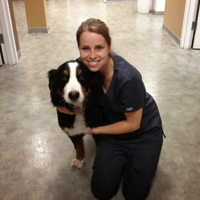 South End Veterinary Clinic 9
