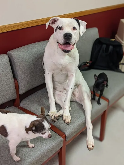Parker Veterinary Hospital PA 12