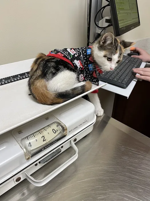Clear Creek Animal Hospital 9