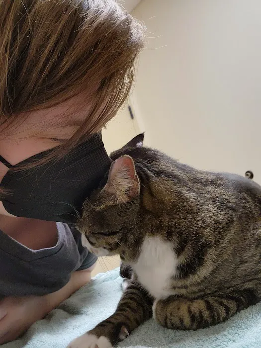 Clear Creek Animal Hospital 1