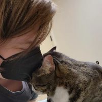 Clear Creek Animal Hospital ico