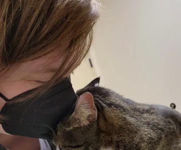 Clear Creek Animal Hospital