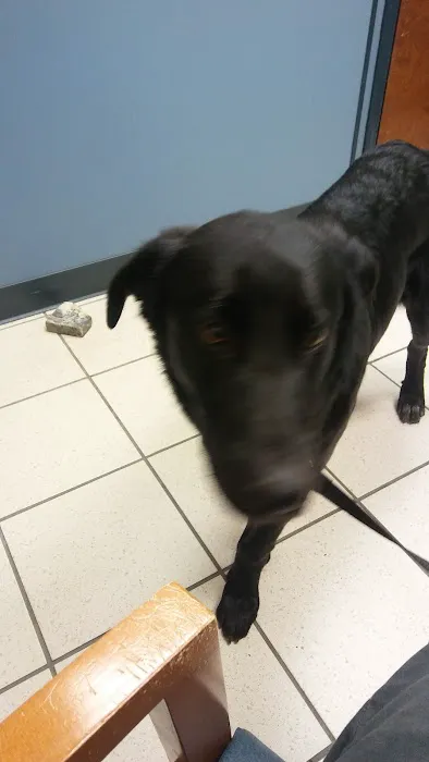 Clear Creek Animal Hospital 7