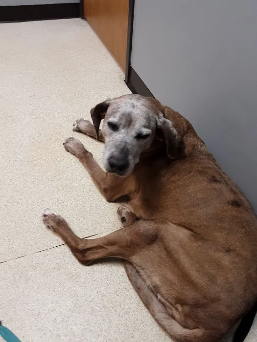 Veterinary Care Center of Richmond 7