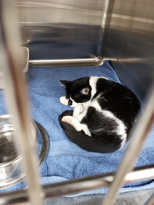 Companion Animal Care Clinic 9