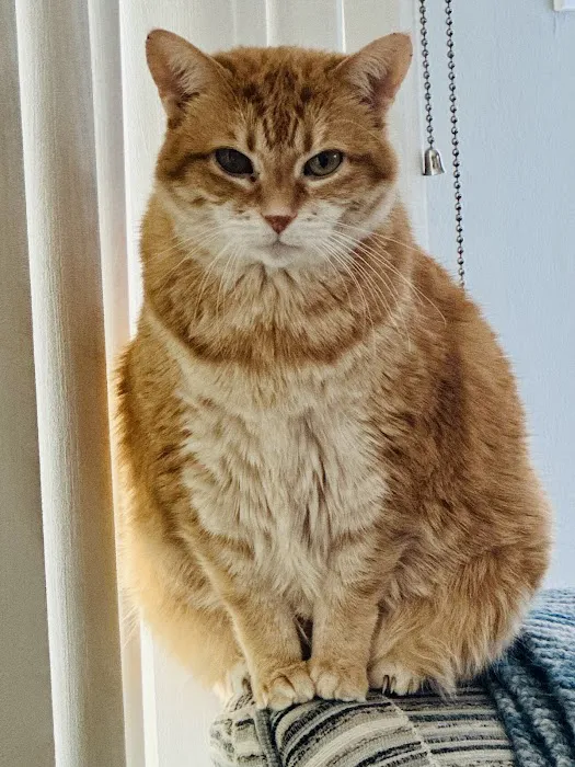 Family Paws Veterinary 1