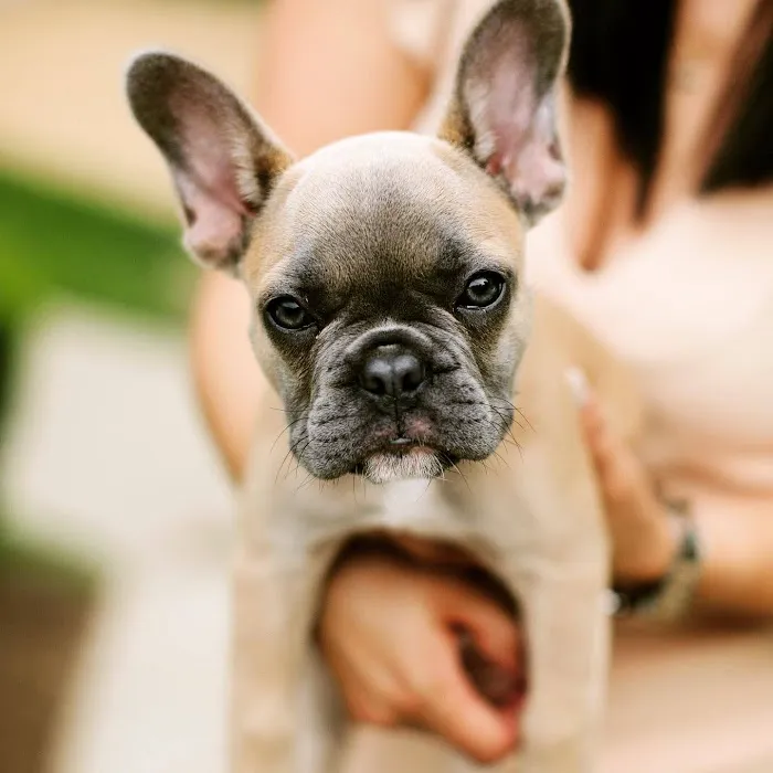 Cameron Medical Center for Animals 4