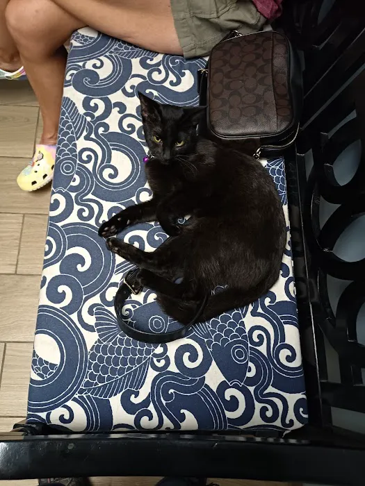 Shelby Veterinary Hospital 3