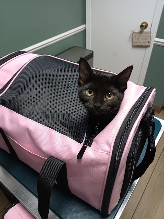 Shelby Veterinary Hospital 8