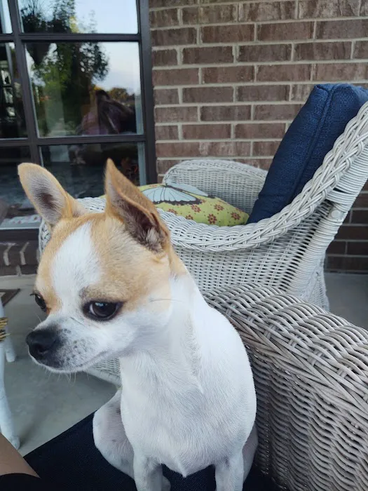 Shelby Veterinary Hospital 6