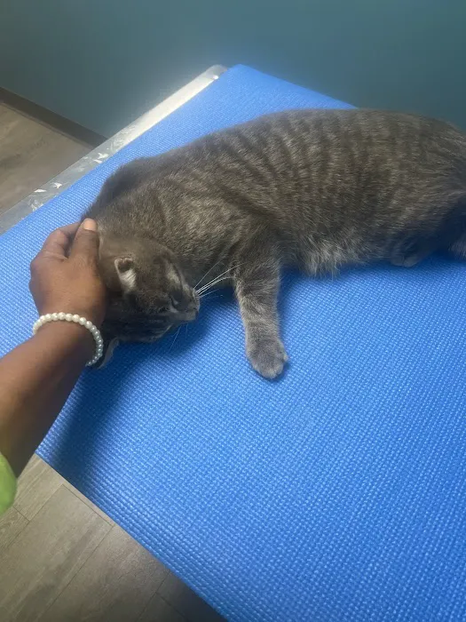 APAWS Veterinary Hospital 5