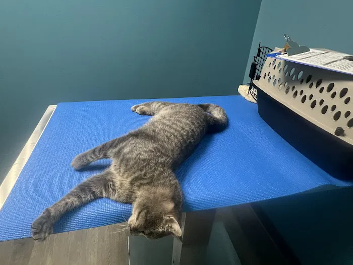 APAWS Veterinary Hospital 2