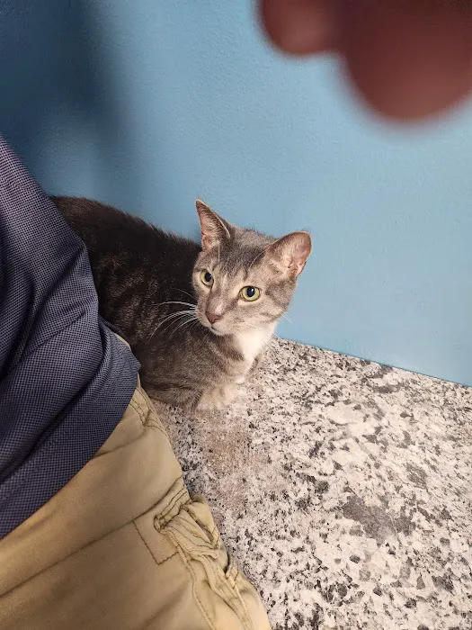 APAWS Veterinary Hospital 7