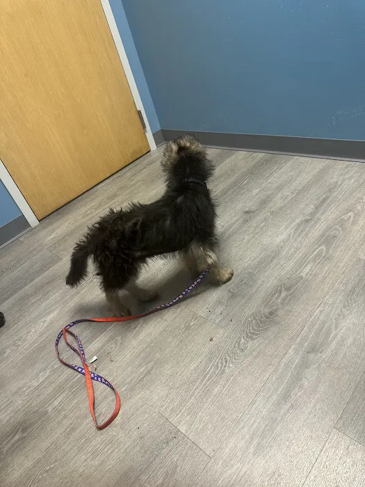 APAWS Veterinary Hospital 4