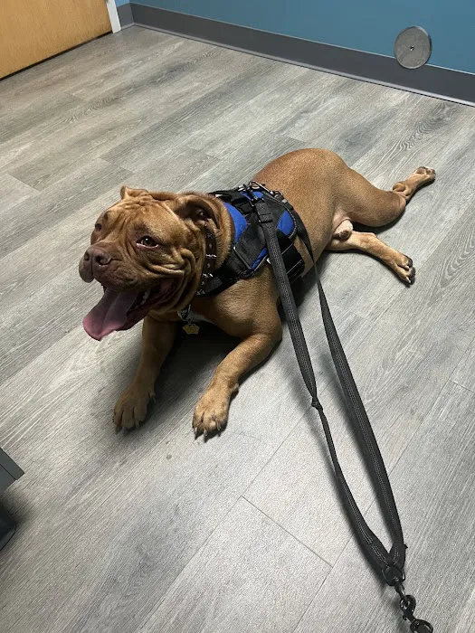 APAWS Veterinary Hospital 1